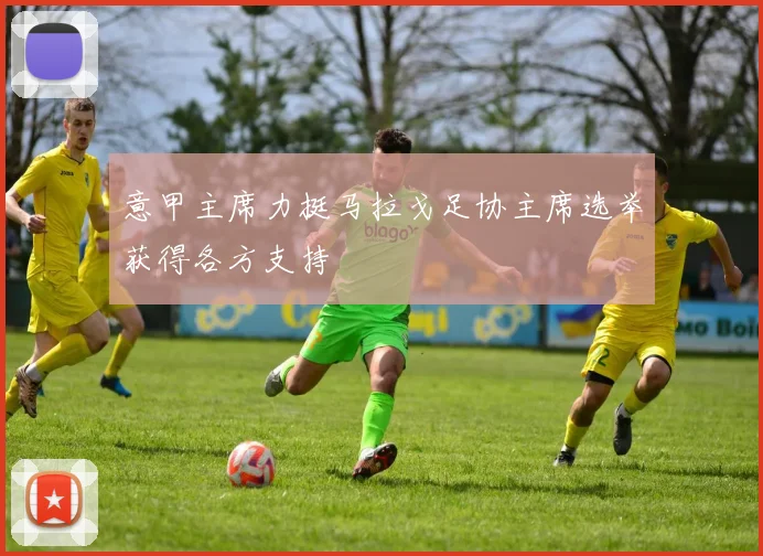 意甲主席力挺马拉戈足协主席选举获得各方支持